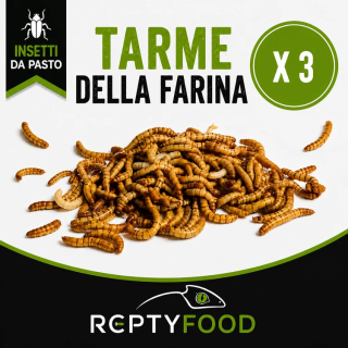 3 BOX TARME DELLA FARINA 40gr - INSETTI DA PASTO