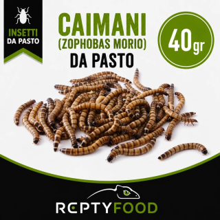 CAIMANI (Zophobas Morio) 40GR- INSETTI DA PASTO