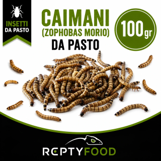 CAIMANI (Zophobas Morio) 100 GR - INSETTI DA PASTO