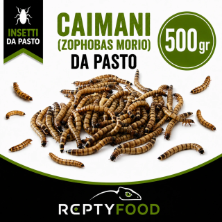CAIMANI (Zophobas Morio) 500 GR - INSETTI DA PASTO