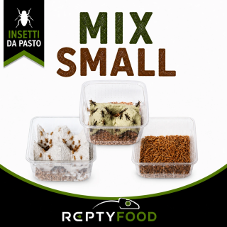 MIX DAY SMALL - DOSE GRILLI, TARME E LOCUSTE SMALL