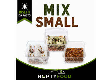 MIX DAY SMALL - DOSE GRILLI, TARME E LOCUSTE SMALL