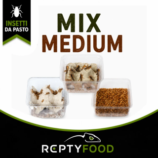MIX DAY MEDIUM - DOSE GRILLI, TARME E LOCUSTE MEDIE