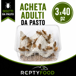 3 DOSI ACHETA ADULTI - INSETTI DA PASTO
