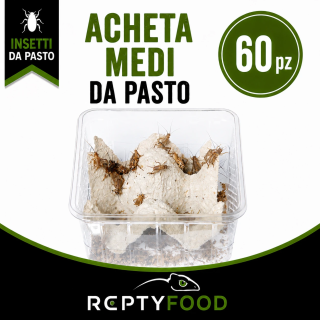 ACHETA MEDI DOSE (60 PEZZI) - INSETTI DA PASTO