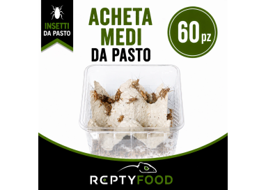 ACHETA MEDI DOSE (60 PEZZI) - INSETTI DA PASTO