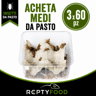 3 x DOSI ACHETA MEDI - INSETTI DA PASTO