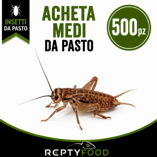 ACHETA MEDI 500 PEZZI - INSETTI DA PASTO