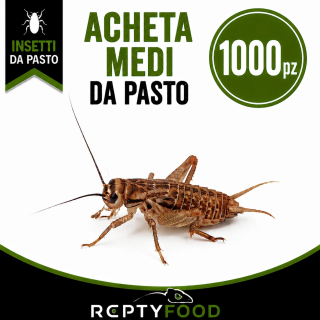 ACHETA MEDI 1000 PEZZI - INSETTI DA PASTO