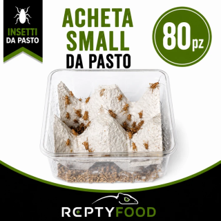 ACHETA SMALL DOSE (80 PEZZI) - INSETTI DA PASTO