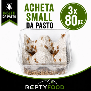 3 DOSI ACHETA SMALL - INSETTI DA PASTO