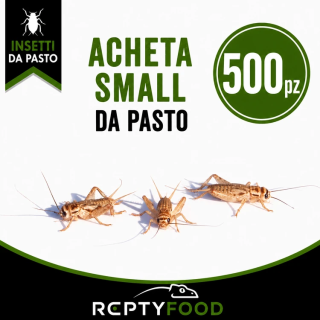 ACHETA SMALL 500 PEZZI - INSETTI DA PASTO