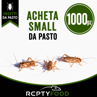 ACHETA SMALL 1000 PEZZI - INSETTI DA PASTO