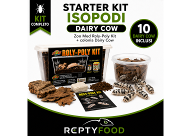 STARTER KIT ISOPODI DAIRY COW – ZOO MED ROLY-POLY KIT + COLONIA