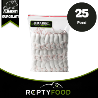TOPO 11-15 gr 25 PEZZI