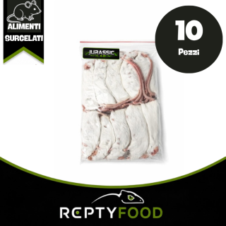 TOPO 18-24 gr 10 PEZZI