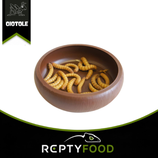 KOMODO MEALWORM DISH - CIOTOLA PER TARME