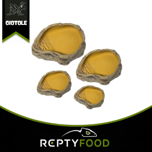 REPTIZOO WATER DISH - CIOTOLA PER L'ACQUA REPTIZOO WATER DISH - CIOTOLA PER L'ACQUA
