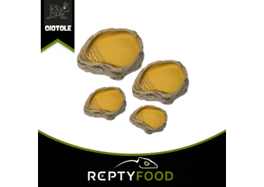 REPTIZOO WATER DISH - CIOTOLA PER L'ACQUA