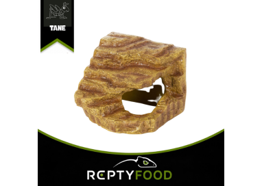 REPTYZOO RIFUGIO ANGOLARE PER RETTILI SMALL