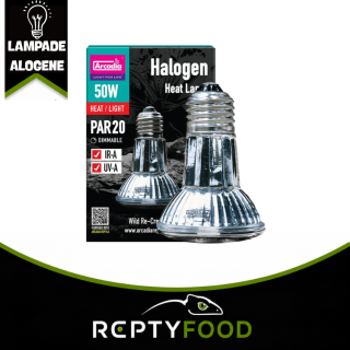 ARCADIA HALOGEN - LAMPADA RISCALDANTE ALOGENA 50W