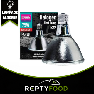 ARCADIA HALOGEN - LAMPADA RISCALDANTE ALOGENA 75W