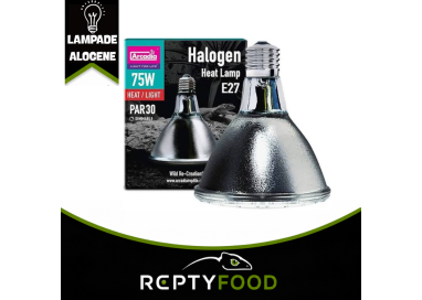ARCADIA HALOGEN - LAMPADA RISCALDANTE ALOGENA 75W