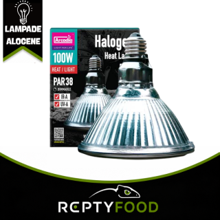 ARCADIA HALOGEN - LAMPADA RISCALDANTE ALOGENA 100W