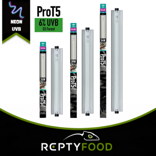 ARCADIA PRO T5 UVB KIT 6% D3+ FOREST - KIT COMPLETO UVB ARCADIA PRO T5 UVB KIT 6% D3+ FOREST - KIT COMPLETO UVB