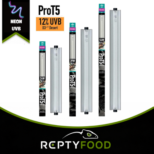 ARCADIA PRO T5 UVB KIT 12% D3+ DESERT - KIT COMPLETO UVB ARCADIA PRO T5 UVB KIT 12% D3+ DESERT - KIT COMPLETO UVB