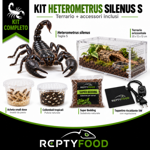 KIT COMPLETO HETREMOTRUS SILENUS S CON TERRARIO – Jurassic Lab KIT COMPLETO HETREMOTRUS SILENUS S CON TERRARIO – Jurassic Lab
