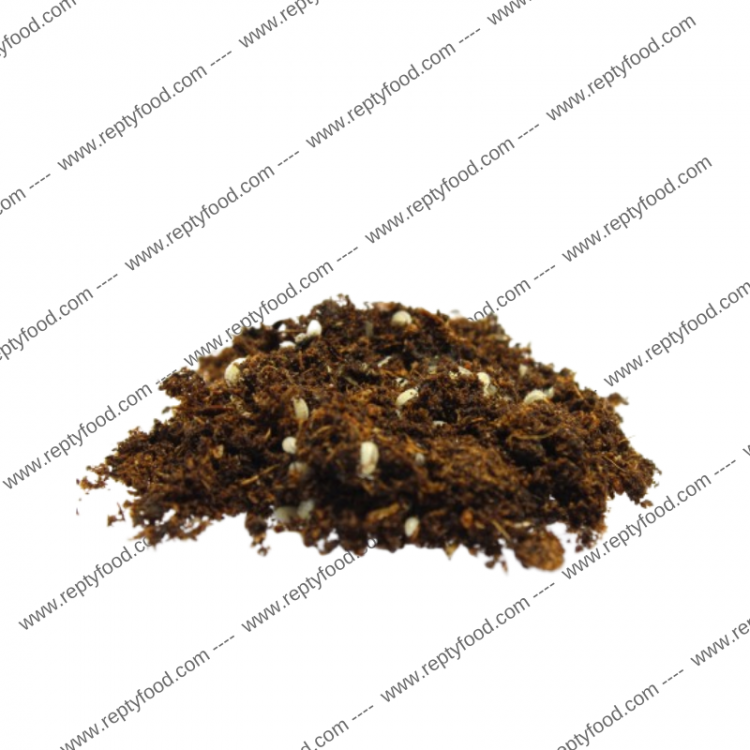 ONISCHI TROPICALI - INSETTI DA PASTO