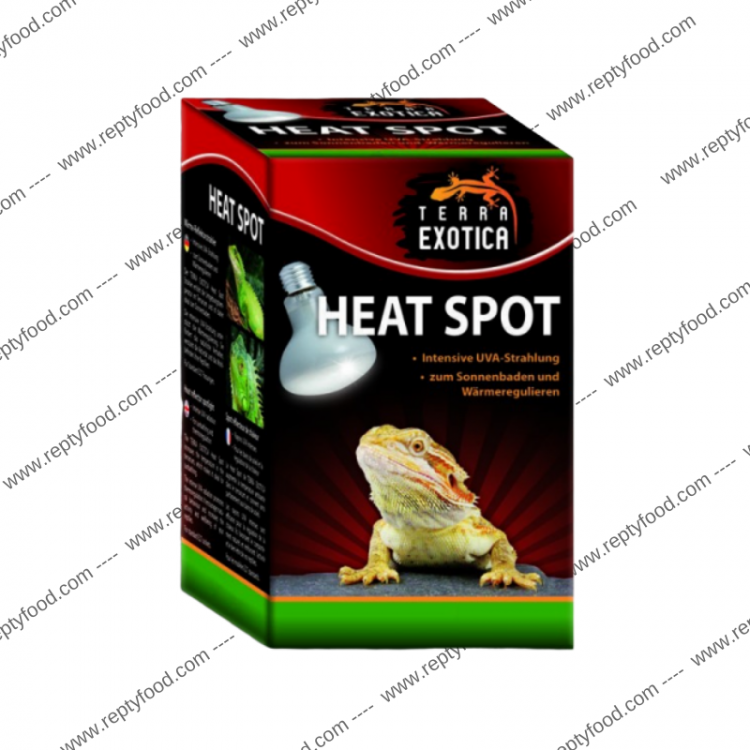 TERRA EXOTICA HEAT SPOT 150W - LAMPADA SPOT RISCALDANTE