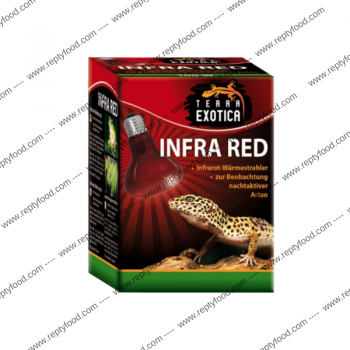 TERRA EXOTICA INFRA RED 60W - LAMPADA ROSSA RISCALDANTE