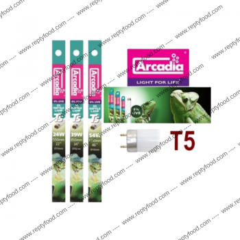 ARCADIA NEON T5 D3+ 6% - NEON UVB PER TERRARI