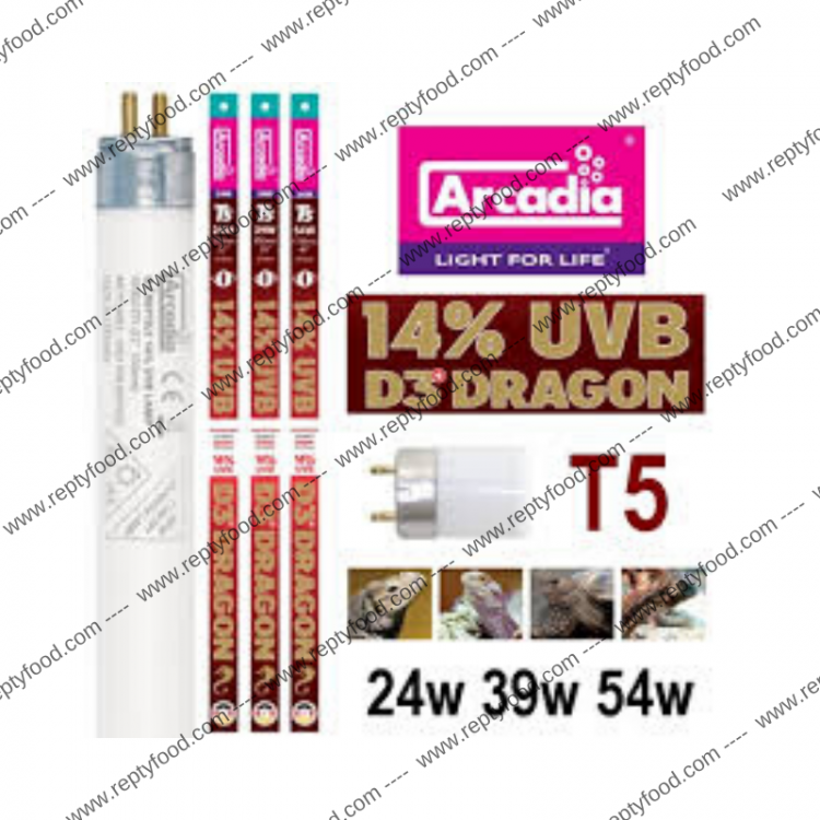 ARCADIA NEON UVB T5 D3+ 14% - NEON UVB PER TERRARI