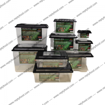 TERRA EXOTICA FAUNA BOX MEDIUM