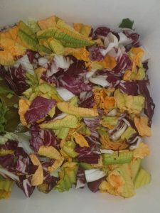 Insalata per uromastici