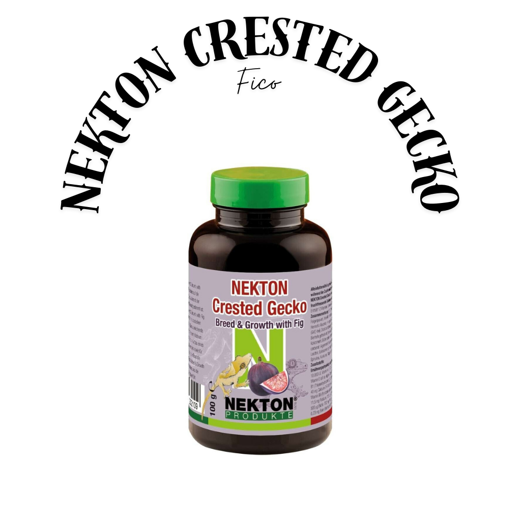 NEKTON Crestato Gecko fico