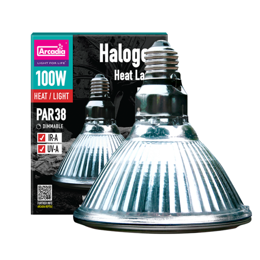 Lamapda riscaldante alogena