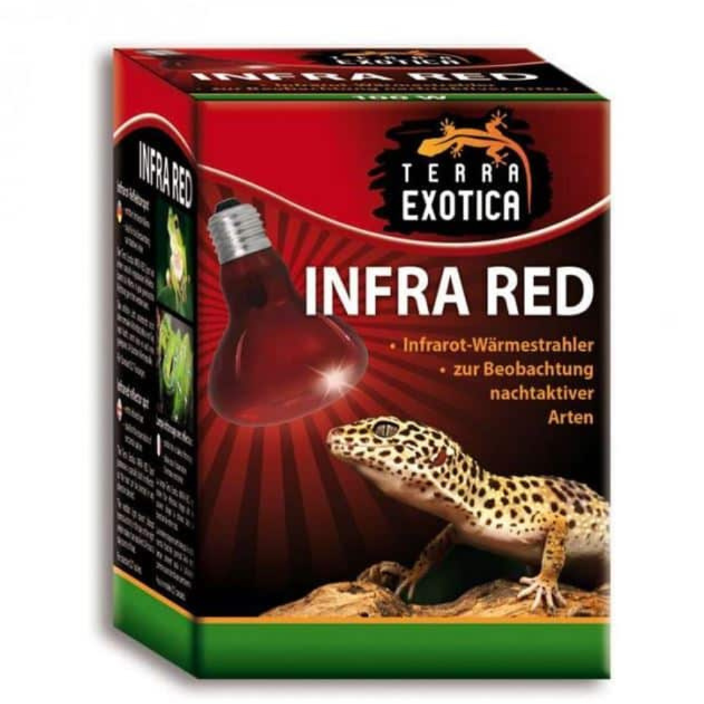 lampada riscaldante infrarossi(1)