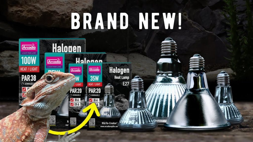 Lampade Alogene Arcadia: