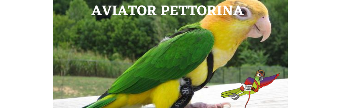 Vendita Aviator pettorine per uccelli| Reptyfood