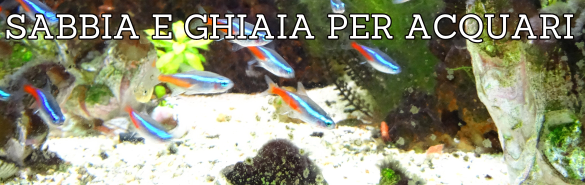 Sabbia e Ghiaia per Acquari e Tartarughiere - Reptyfood