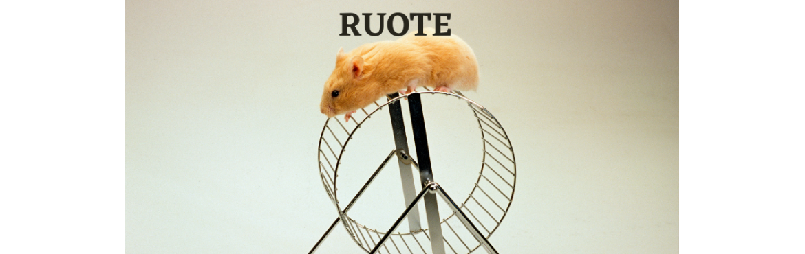 Ruote per Roditori - Esercizio Sicuro e Divertente | Reptyfood