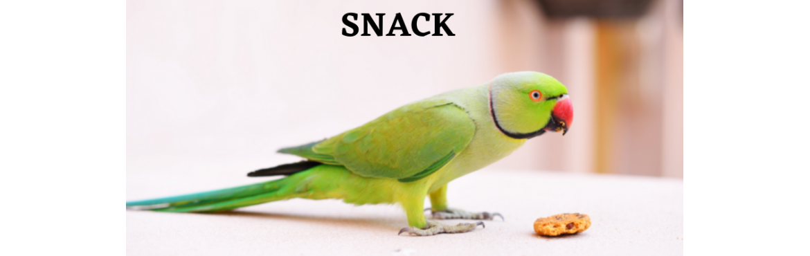Vendita snack per pappagalli - Reptyfood