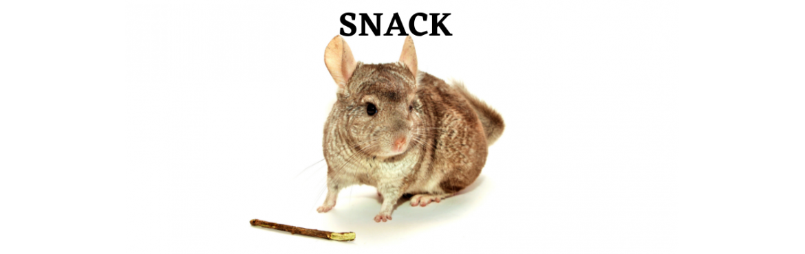 Snack Naturali per Mammiferi | Reptyfood