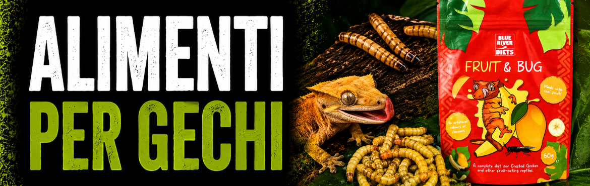 ALIMENTI PER GECHI