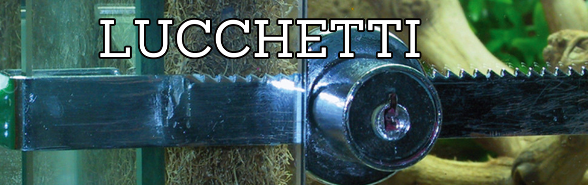 Lucchetti per Terrari - Sicurezza per Animali Esotici | Reptyfood