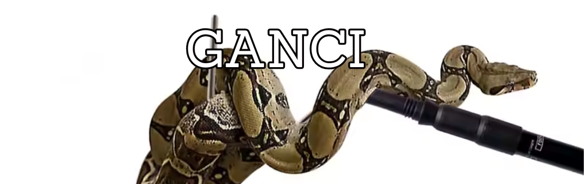 Ganci per Serpenti - Sicurezza e Qualità per il Maneggiamento